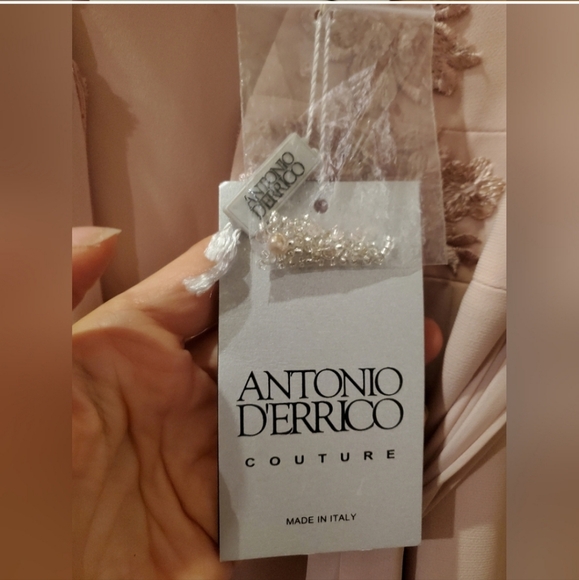 Sz 42(6) NWT $570 Antonio Derrico gown - Picture 3 of 7